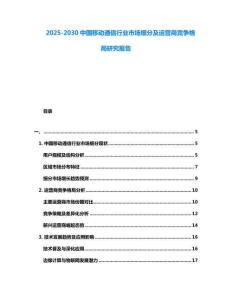 2025-2030中國移動通信行業(yè)市場細(xì)分及運營商競爭格局研究報告