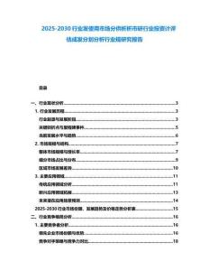 2025-2030行業發使用市場分供析析市研行業投資計評估成發分劃分析行業規研究報告
