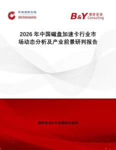 2026年中國(guó)磁盤(pán)加速卡行業(yè)市場(chǎng)動(dòng)態(tài)分析及產(chǎn)業(yè)前景研判報(bào)告