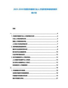 2025-2030印度軟件服務行業人才培養競爭格局持續升級計劃