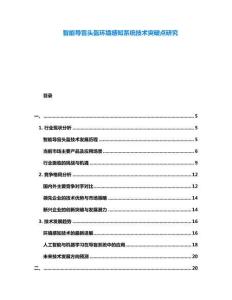 智能導盲頭盔環境感知系統技術突破點研究