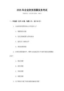 2025年企業(yè)財務(wù)預(yù)算實務(wù)考試