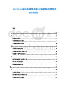 2025-2030軟件服務行業市場分析發展策略投資前景研究行業報告