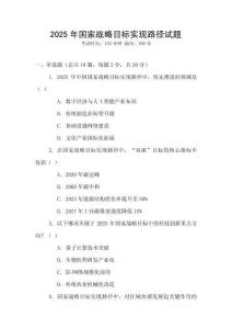 2025年國(guó)家戰(zhàn)略目標(biāo)實(shí)現(xiàn)路徑試題