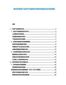 碳中和背景下光伏產(chǎn)業(yè)鏈技術(shù)突破與商業(yè)機(jī)會(huì)評(píng)估報(bào)告