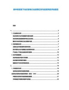 碳中和背景下光伏發(fā)電行業(yè)政策紅利與投資風(fēng)險(xiǎn)評(píng)估報(bào)告