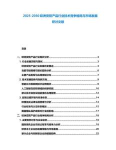 2025-2030歐洲安防產(chǎn)品行業(yè)技術(shù)競爭格局與市場發(fā)展研討文獻(xiàn)