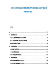 2025-2030巖土工程地質(zhì)勘察與施工技術(shù)分析產(chǎn)業(yè)發(fā)展規(guī)劃研究分析