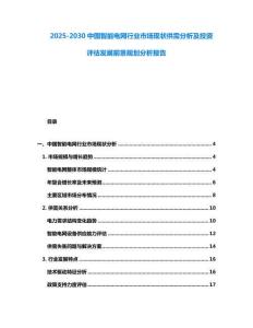 2025-2030中國智能電網(wǎng)行業(yè)市場現(xiàn)狀供需分析及投資評估發(fā)展前景規(guī)劃分析報告
