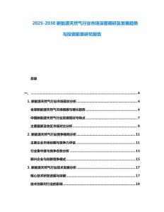 2025-2030新能源天然气行业市场深度调研及发展趋势与投资前景研究报告