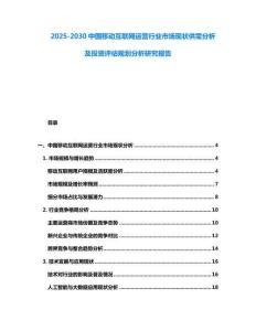 2025-2030中國移動互聯(lián)網(wǎng)運營行業(yè)市場現(xiàn)狀供需分析及投資評估規(guī)劃分析研究報告