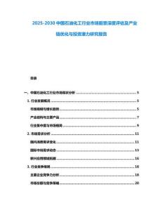 2025-2030中國石油化工行業市場前景深度評估及產業鏈優化與投資潛力研究報告