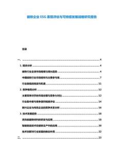 磁鐵企業(yè)ESG表現(xiàn)評估與可持續(xù)發(fā)展戰(zhàn)略研究報告