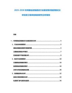 2025-2030非洲基礎(chǔ)設(shè)施建設(shè)行業(yè)建設(shè)現(xiàn)狀融資模式分析投資工程項目規(guī)劃研究分析報告