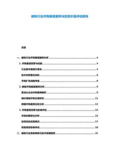 磁鐵行業(yè)并購重組案例與投資價值評估報告