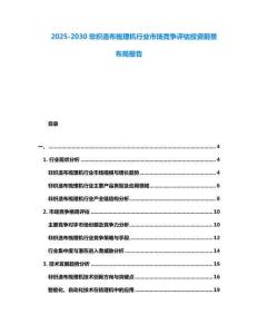 2025-2030非织造布梳理机行业市场竞争评估投资前景布局报告