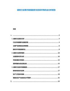 磁鐵行業(yè)兼并重組趨勢與投資并購機(jī)會分析報(bào)告