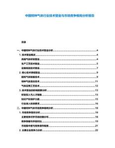 中國(guó)特種氣體行業(yè)技術(shù)壁壘與市場(chǎng)競(jìng)爭(zhēng)格局分析報(bào)告