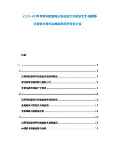 2025-2030梵蒂岡微型電子制造業市場需求分析現狀特點競爭力特點發展前景投資規劃研究