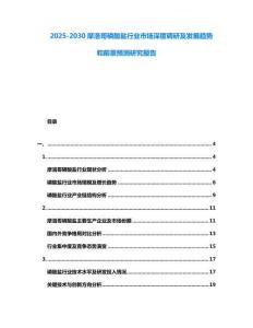 2025-2030摩洛哥磷酸鹽行業市場深度調研及發展趨勢和前景預測研究報告