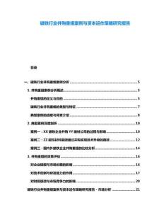 磁鐵行業并購重組案例與資本運作策略研究報告