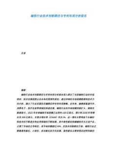 磁鐵行業(yè)技術(shù)創(chuàng)新路徑與專利布局分析報(bào)告