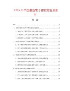 2025年中國重型管子鉗數(shù)據(jù)監(jiān)測報告
