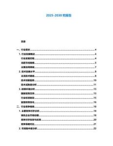2025-2030究報告