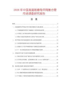 2026年中國高溫耐磨龜甲網復合管市場調查研究報告