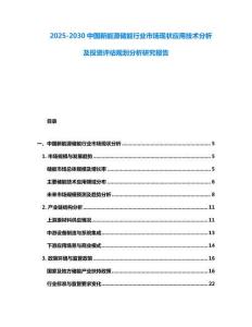 2025-2030中國(guó)新能源儲(chǔ)能行業(yè)市場(chǎng)現(xiàn)狀應(yīng)用技術(shù)分析及投資評(píng)估規(guī)劃分析研究報(bào)告