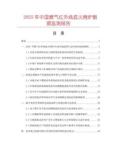 2025年中國(guó)燃?xì)饧t外線底火烤爐數(shù)據(jù)監(jiān)測(cè)報(bào)告