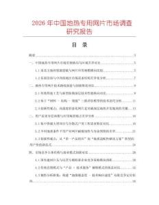 2026年中國地熱專用網片市場調查研究報告