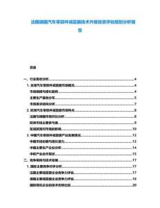 法國德國汽車零部件減震器技術(shù)升級(jí)投資評(píng)估規(guī)劃分析報(bào)告