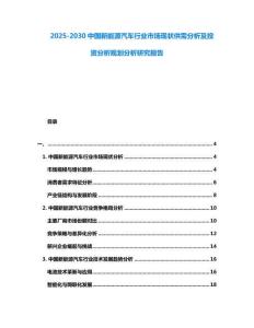 2025-2030中國新能源汽車行業(yè)市場現(xiàn)狀供需分析及投資分析規(guī)劃分析研究報告