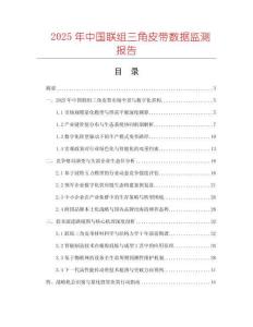 2025年中國(guó)聯(lián)組三角皮帶數(shù)據(jù)監(jiān)測(cè)報(bào)告