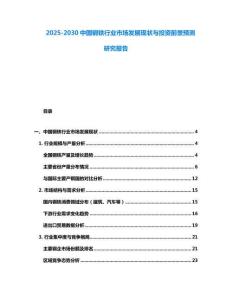 2025-2030中國鋼鐵行業市場發展現狀與投資前景預測研究報告