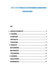 2025-2030中國冶金行業市場深度調研及發展趨勢和前景預測研究報告