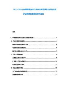 2025-2030中國鋼鐵冶煉行業市場運營供需分析及投資評估前景發展規劃研究報告