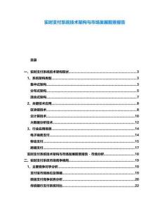 實時支付系統技術架構與市場發展前景報告