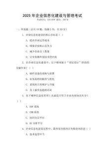 2025年企業(yè)信息化建設與管理考試