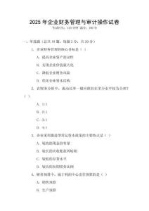2025年企業(yè)財(cái)務(wù)管理與審計(jì)操作試卷