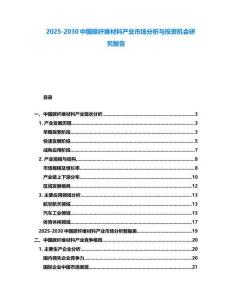 2025-2030中國碳纖維材料產業市場分析與投資機會研究報告