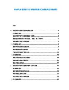 歐洲汽車零部件行業(yè)市場(chǎng)供需現(xiàn)狀及投資風(fēng)險(xiǎn)評(píng)估報(bào)告