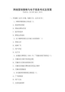網(wǎng)絡(luò)營銷策略與電子商務(wù)考試及答案