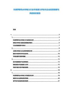 科摩羅群島水利電力行業(yè)市場(chǎng)潛力評(píng)估與企業(yè)投資規(guī)模與風(fēng)險(xiǎn)防控報(bào)告