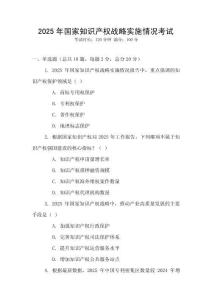 2025年國家知識(shí)產(chǎn)權(quán)戰(zhàn)略實(shí)施情況考試