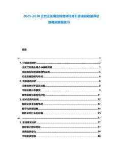 2025-2030玄武江區(qū)商業(yè)綜合體招商引資項(xiàng)目收益評(píng)估財(cái)務(wù)測(cè)算報(bào)告書