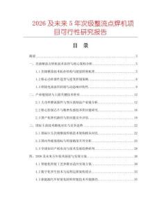 2026及未來5年次級(jí)整流點(diǎn)焊機(jī)項(xiàng)目可行性研究報(bào)告
