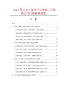 2026及未來5年推桿式滲碳生產(chǎn)線項(xiàng)目可行性研究報(bào)告