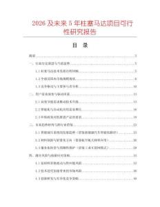 2026及未來5年柱塞馬達(dá)項目可行性研究報告